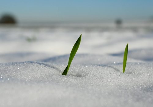 pexels-lorna-pauli-1320744316-30222008